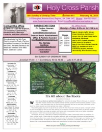 Sixth Sunday OT C